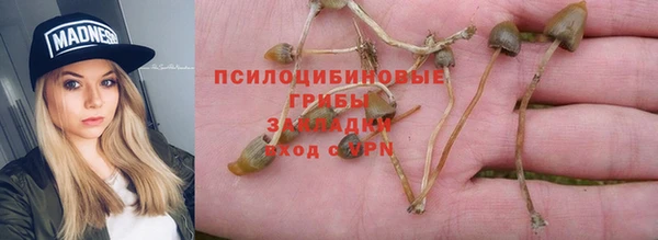 а пвп мука Абдулино