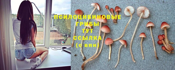 MESCALINE Покровск