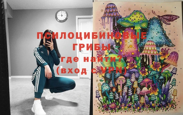 метадон Покачи