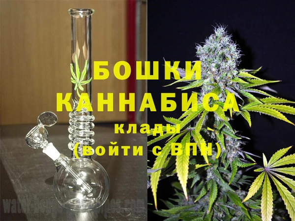 ECSTASY Ветлуга