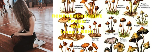 метадон Покачи