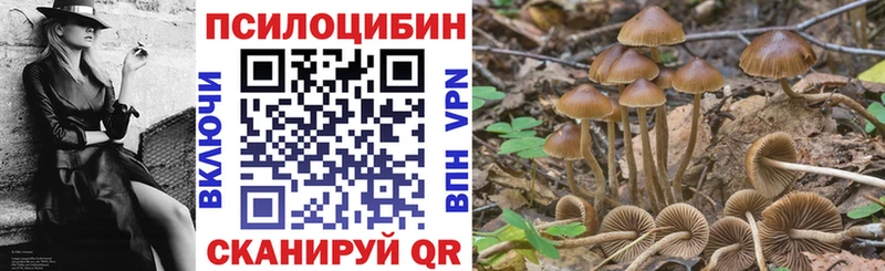 Галлюциногенные грибы Cubensis Курчатов