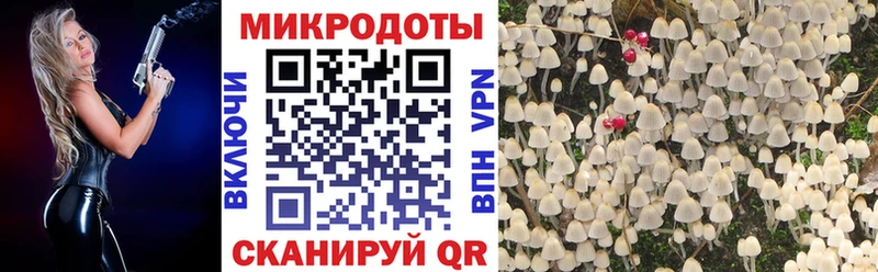 Псилоцибиновые грибы мухоморы  Курчатов 