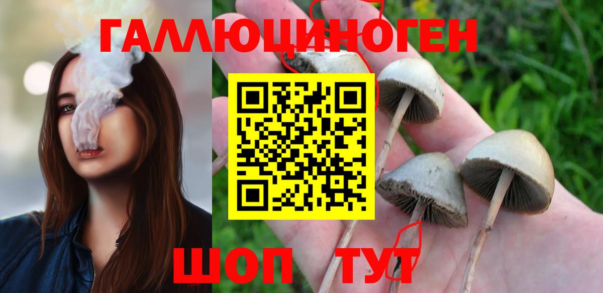 Курчатов  Псилоцибиновые грибы MAGIC MUSHROOMS  Вход с VPN 