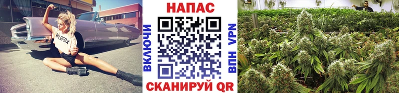 МАРИХУАНА Bruce Banner  Курчатов 
